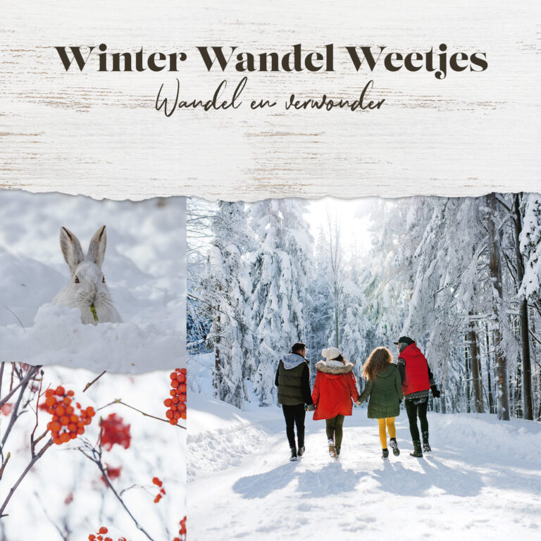 833_4-KANT_WinterWandelWeetjes.indd